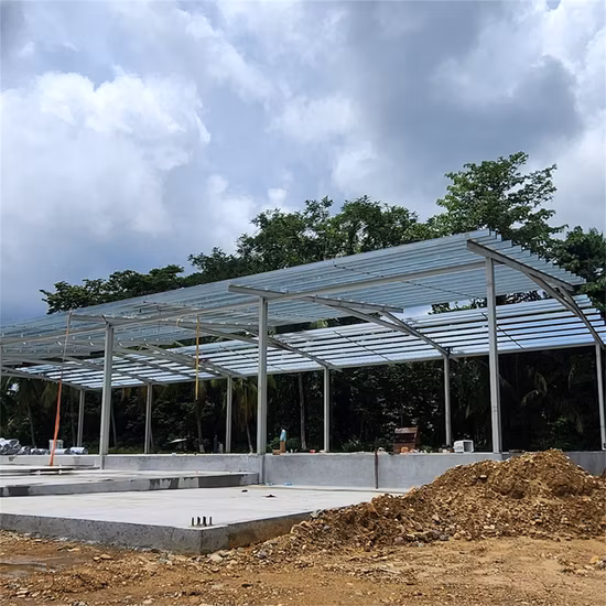 プレハブ鉄骨造、農業小屋、干し草倉庫、シェルター、農家